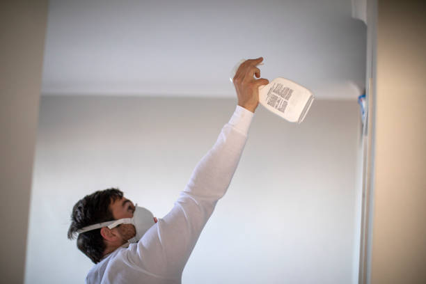 Professional Mold Remediation in Combined Locks, WI