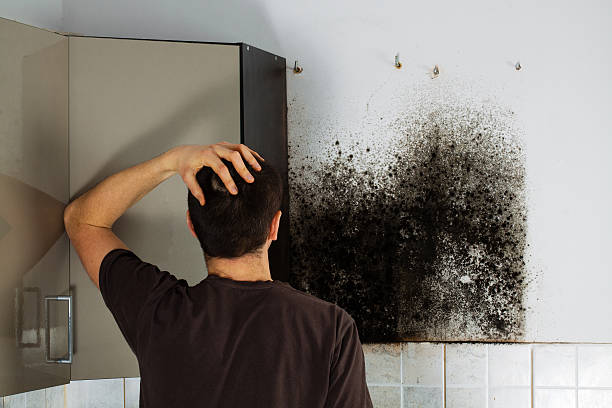 Best Bathroom Mold Remediation in Combined Locks, WI